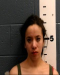 Mother arrested for driving under the influence of alcohol with her 2 kids ...